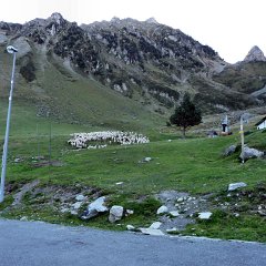 P1030343 (Copier)